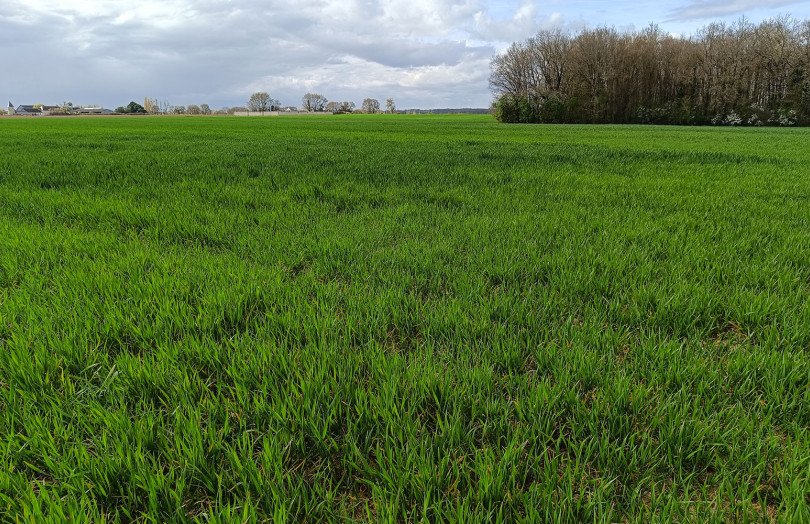  Tour de plaine début avril 2026, en Pays de Loire