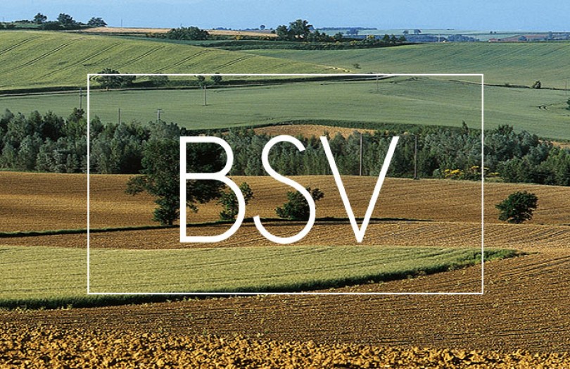 BSV Pays-de-Loire : état des cultures et des diverses pressions