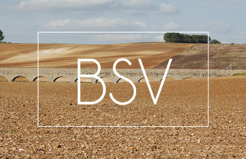 BSV BFC : état des cultures, maladies, ravageurs, adventices