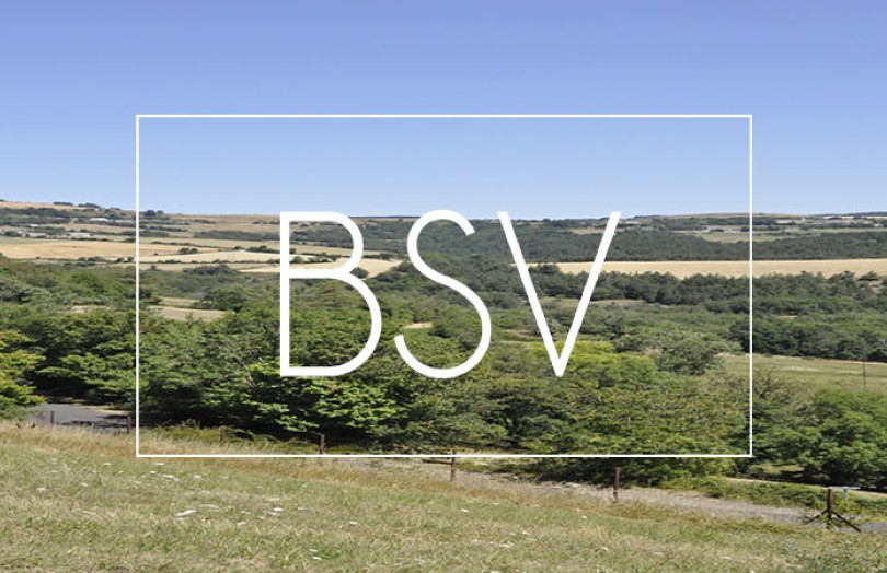 BSV Limousin : état des cultures, maladies, ravageurs, adventices