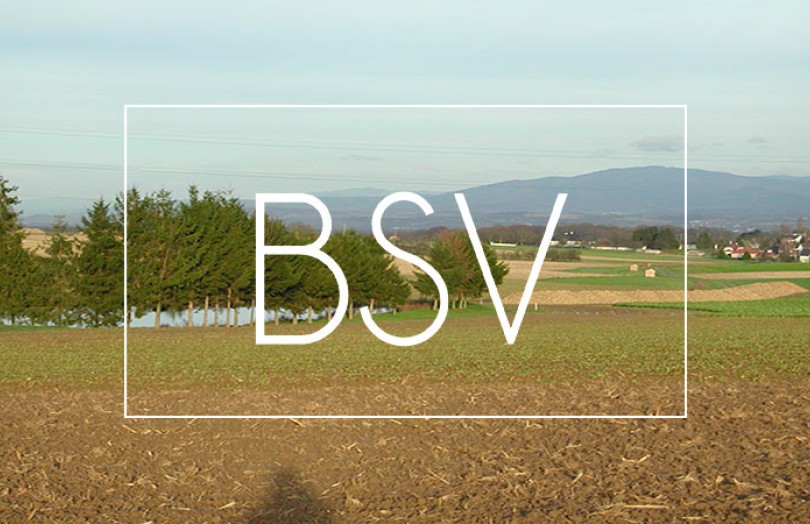 BSV Alsace : état des cultures, maladies, ravageurs, adventices