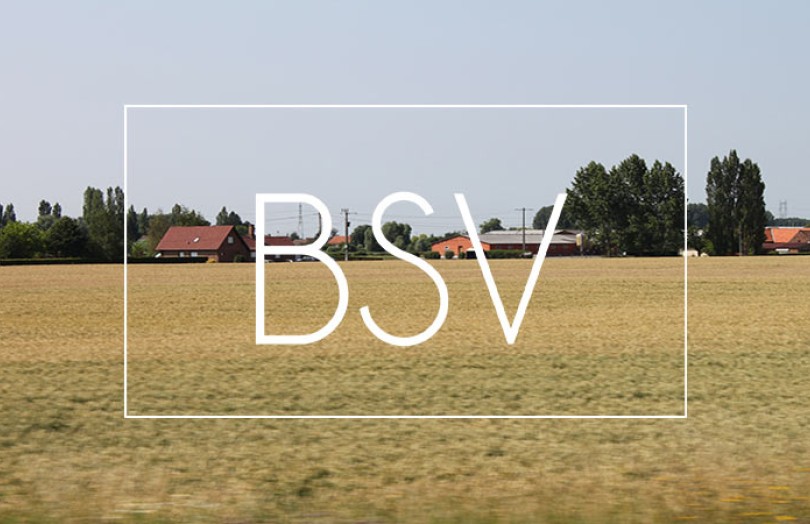 BSV Hauts-de-France : état des cultures, maladies, ravageurs