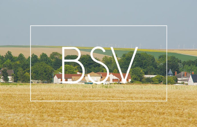 BSV Champagne-Ardenne : état des cultures, maladies, ravageurs, …