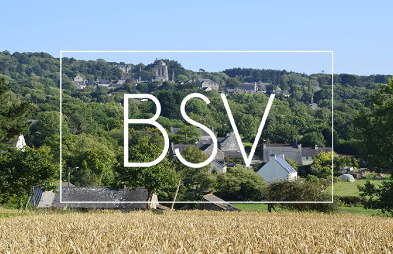 BSV Bretagne : état des cultures, maladies, ravageurs, adventices
