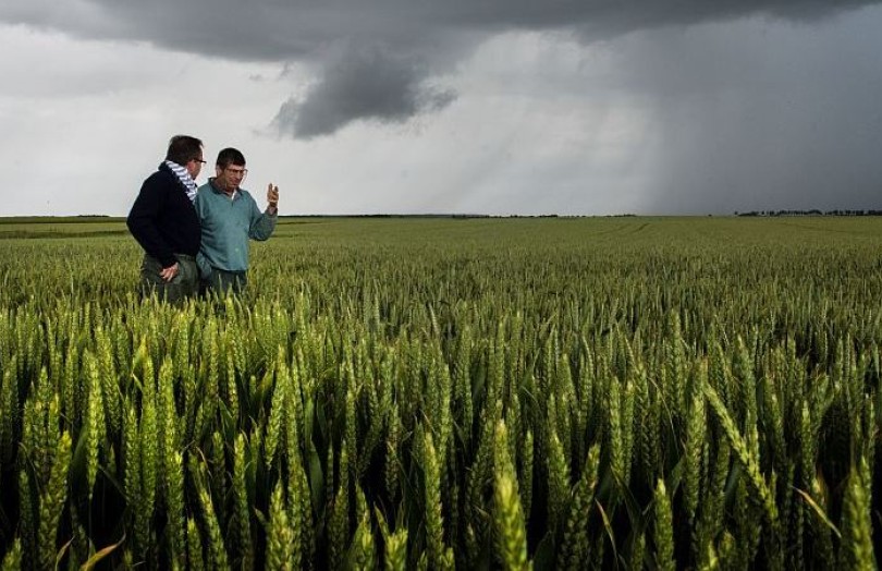 Les OAD vont-ils révolutionner le métier d’agriculteurs ?