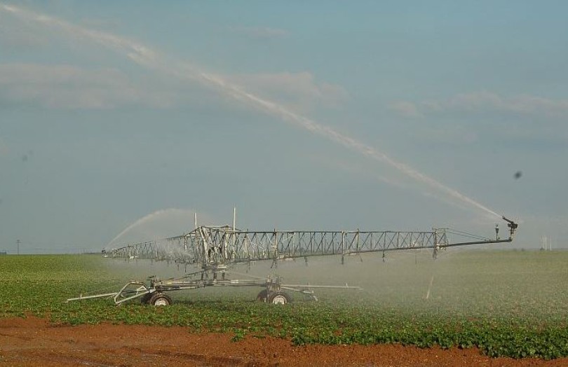 Guide de production de la pomme de terre : l’irrigation
