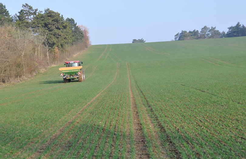 Faut-il apporter de l’azote au tallage du blé en 2022 ?