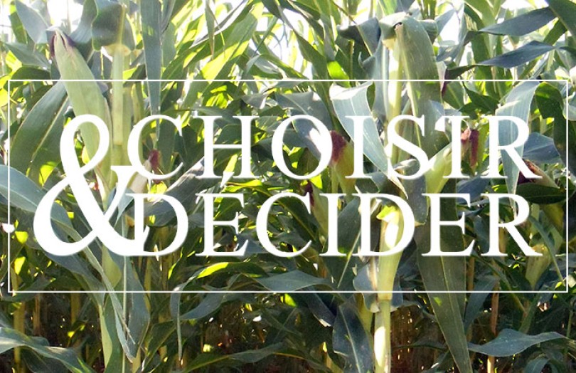 Choisir et Décider maïs en agriculture biologique