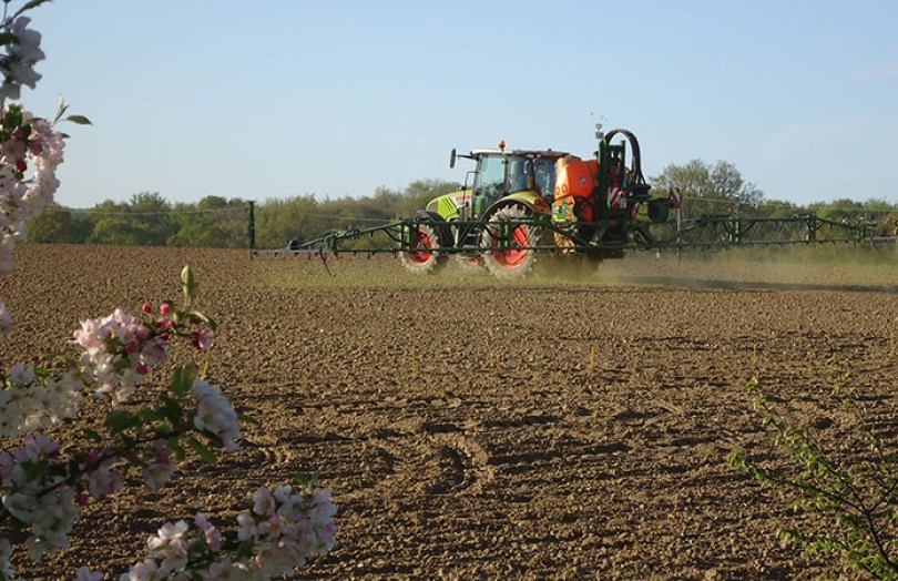 Les stratégies herbicides sur maïs en 2022 en Pays de la Loire