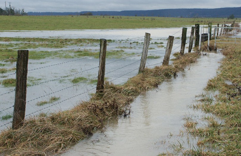 Recommandations pour récolter les prairies inondées