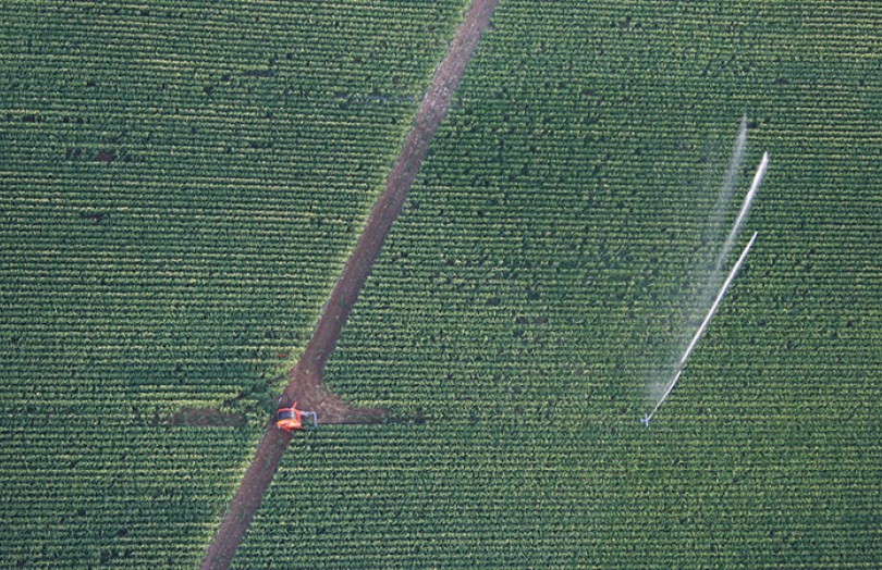 Quelle stratégie de fin d’irrigation du maïs 2022 en Centre - Ile de France ?