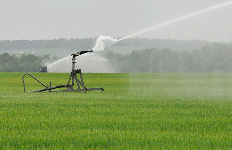 Stratégies d'irrigation des céréales à paille
