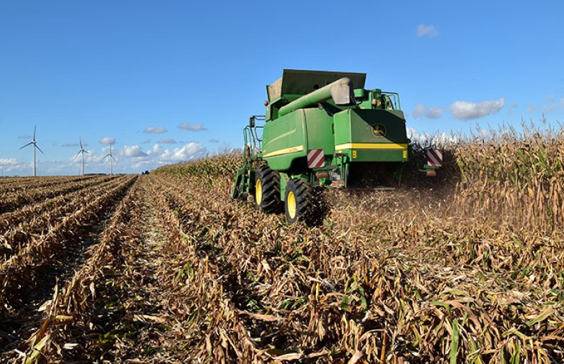 Qualité sanitaire du maïs grain : évaluer le risque à la récolte