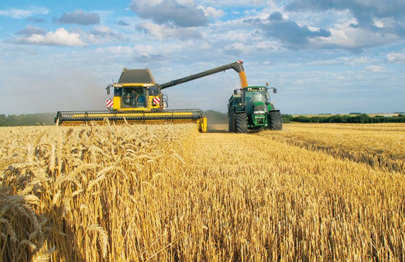 Récolte blé tendre 2022 : première estimation de rendement