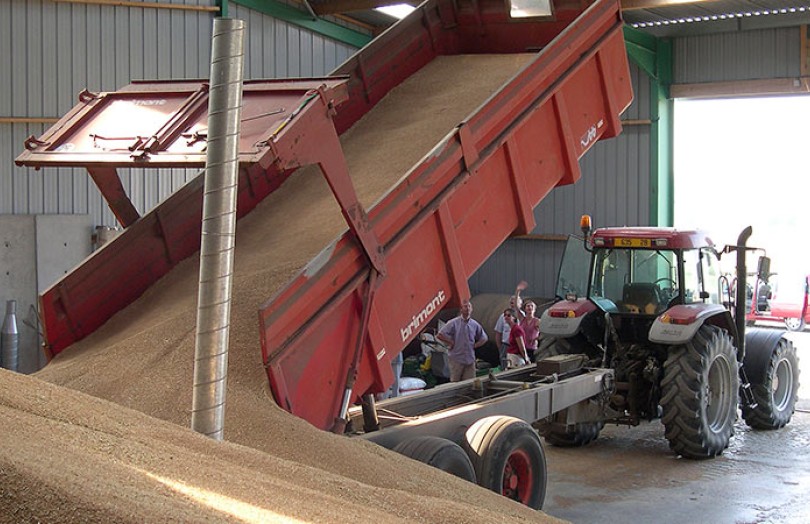 Céréales à paille germées : une conduite rigoureuse du stockage