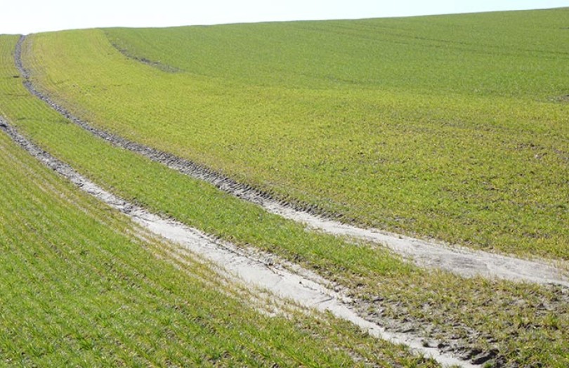 Un sol battant accroît le risque de ruissellement des pesticides