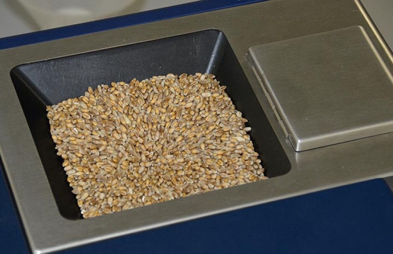 Les mesures par infrarouge dépendent de la température des grains