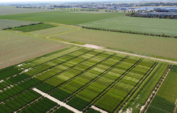 ARVALIS : an agricultural research organization dedicated to arable crops