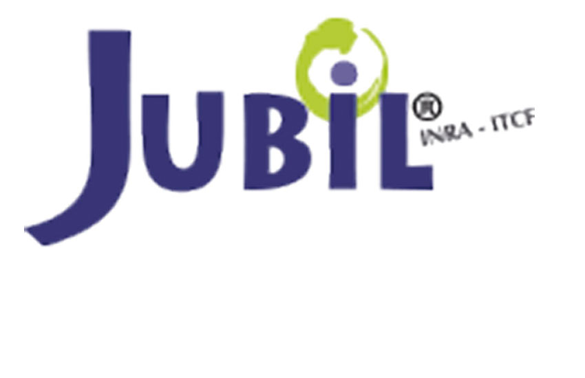 JUBIL® 