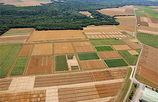 Vue aérienne de champs de cultures Arvalis