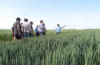 Homme présentant un champ à un groupe de personnes
