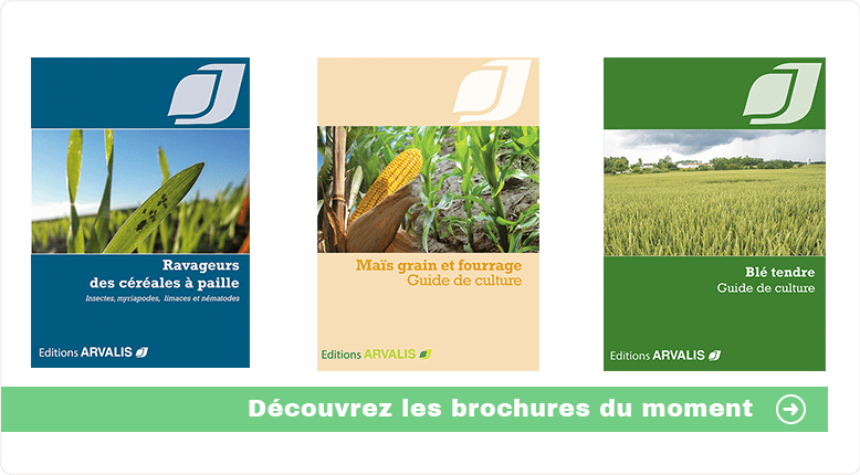 Toutes les éditions ARVALIS