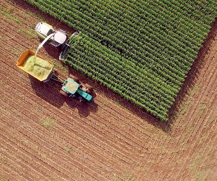 Vue aérienne d'une récolte dans un champ de maïs